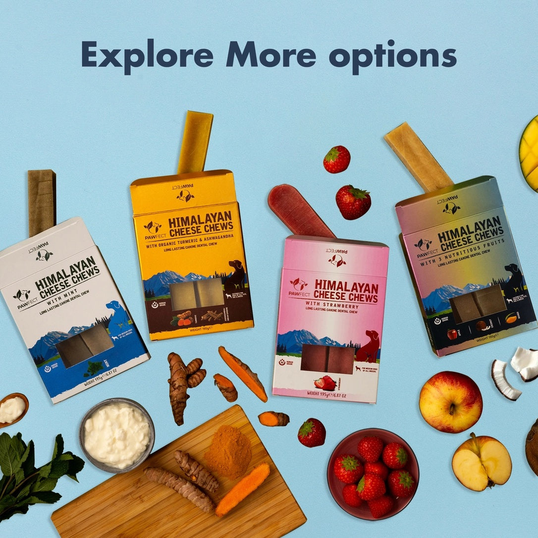Pawfect Himalayan Cheese Chews with Apple, Mango & Coconut For Dogs - All Natural Dental Sticks