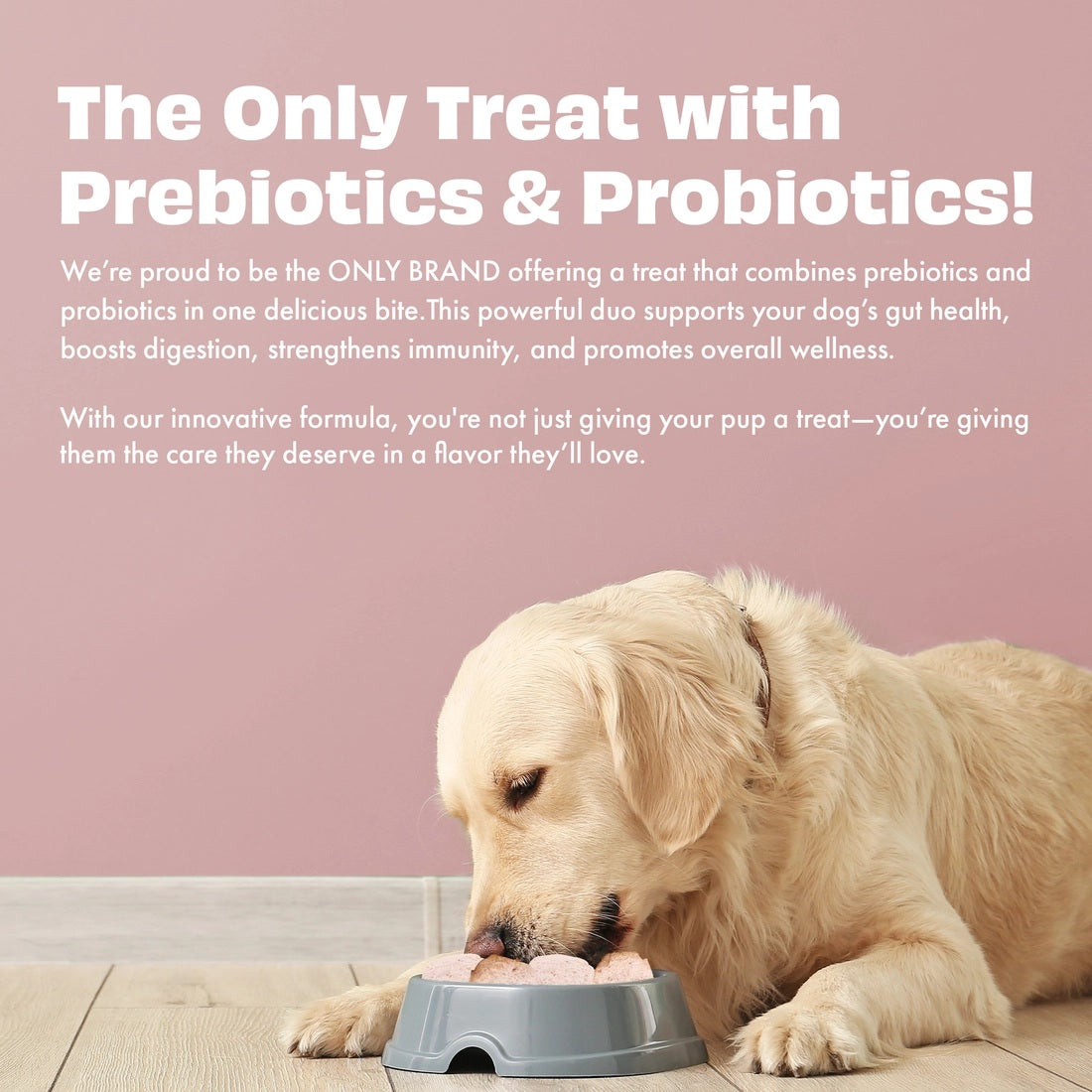 Pawfect Yogurt Melties Pre and Probiotic Dog Treats with Strawberry, Apple, Papaya & Burdock Root - 38g