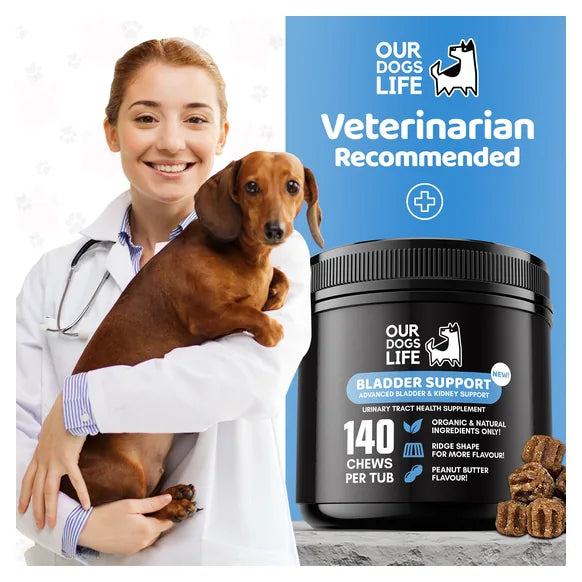 OurDogsLife Bladder Support Chews for Dogs (140 Chews per Tub) β product image 9 β dog first aid & recovery