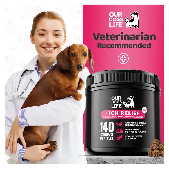 OurDogsLife Itch Relief Dog Chews (140 Chews Per Tub) – product image 9 – dog skin & coat care