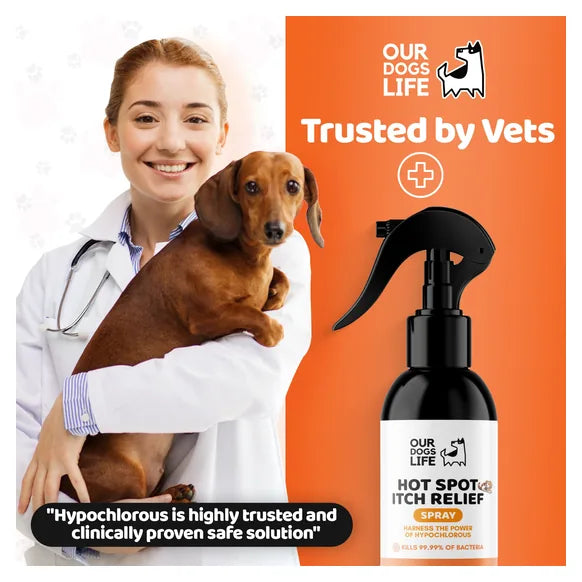 OurDogsLife Itch Spray for Dogs (250ml) โ product image 7 โ dog skin & coat care