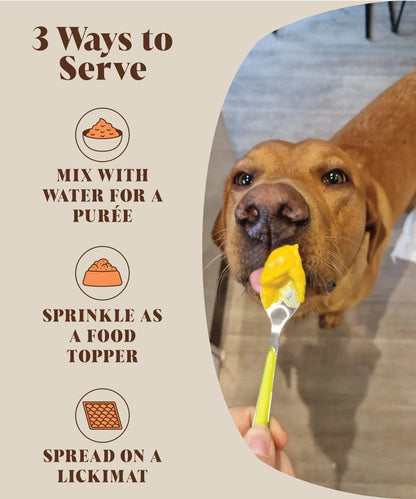 Hackney Dog House - Pumpkin Puree Powder (225g)