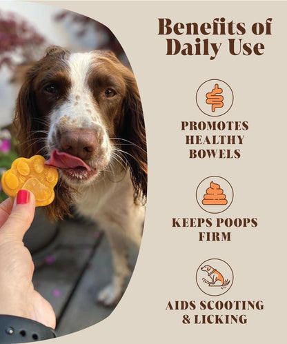 Hackney Dog House - Pumpkin Puree Powder (225g)