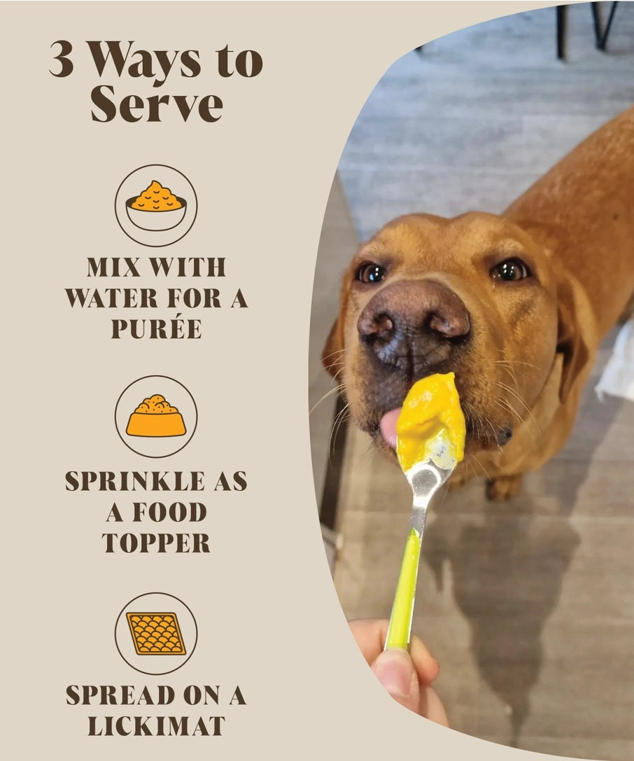 Hackney Dog House - Pumpkin & Probiotics (225g)