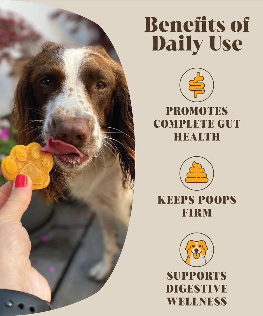 Hackney Dog House - Pumpkin & Probiotics (225g)