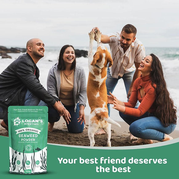 Logan's Organic Seaweed Powder - Pet Supplement - Dental Hygiene