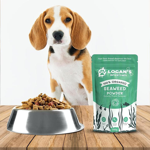 Logan's Organic Seaweed Powder - Pet Supplement - Dental Hygiene