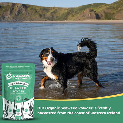 Logan's Organic Seaweed Powder - Pet Supplement - Dental Hygiene