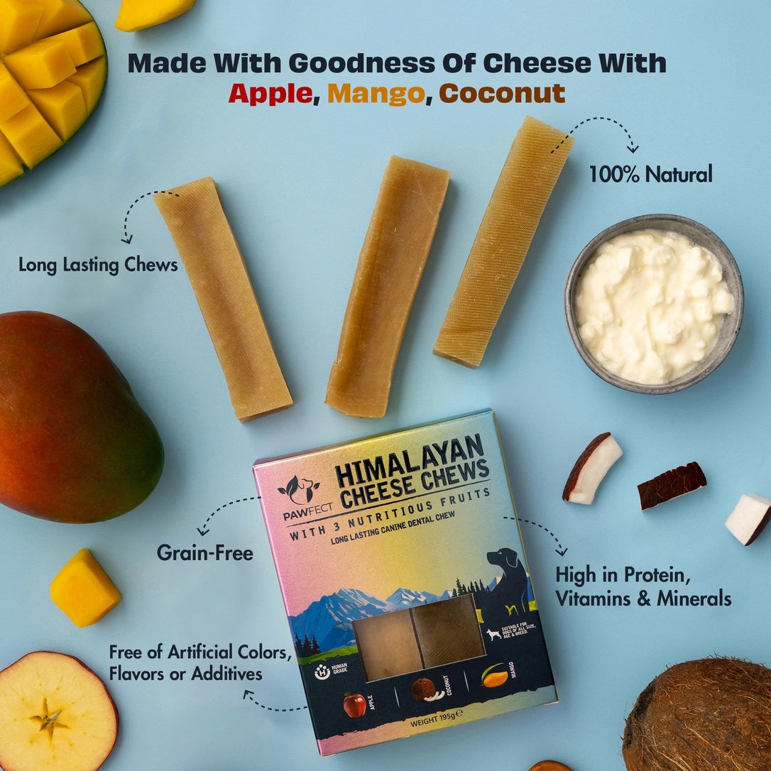 Pawfect Himalayan Cheese Chews with Apple, Mango & Coconut For Dogs - All Natural Dental Sticks