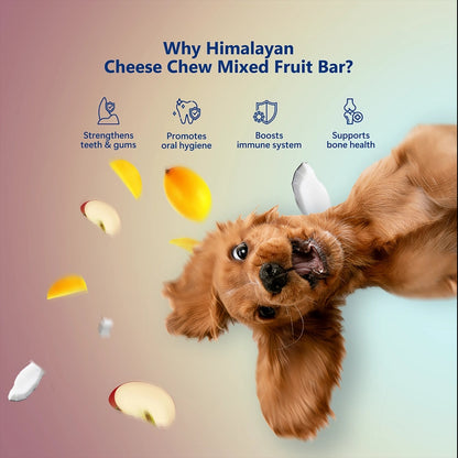 Pawfect Himalayan Cheese Chews with Apple, Mango & Coconut For Dogs - All Natural Dental Sticks