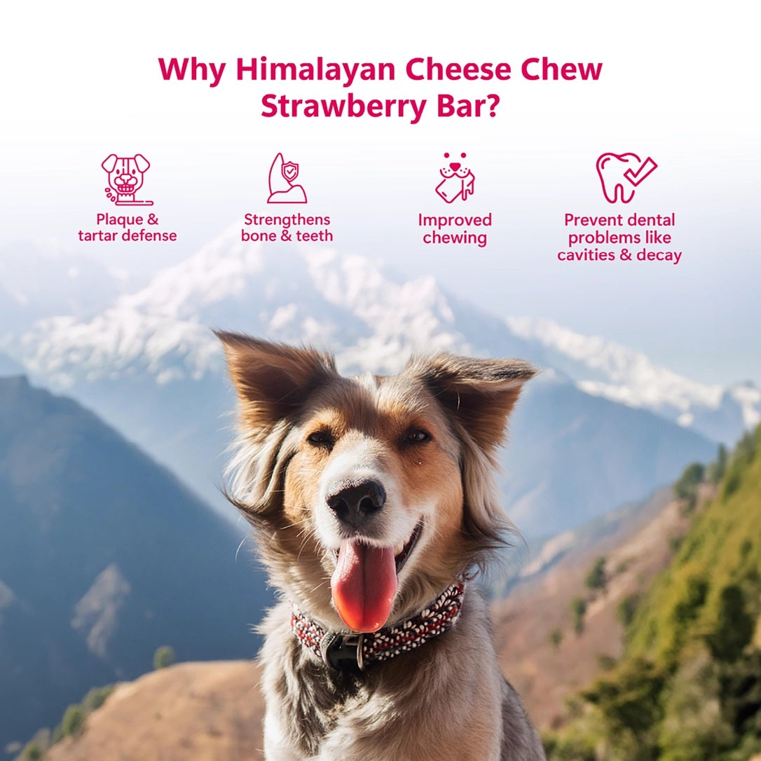 Pawfect Himalayan Cheese Chews with Strawberry For Dogs - All Natural Dental Sticks