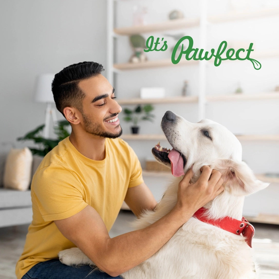 Pawfect Himalayan Cheese Chews with Strawberry For Dogs - All Natural Dental Sticks