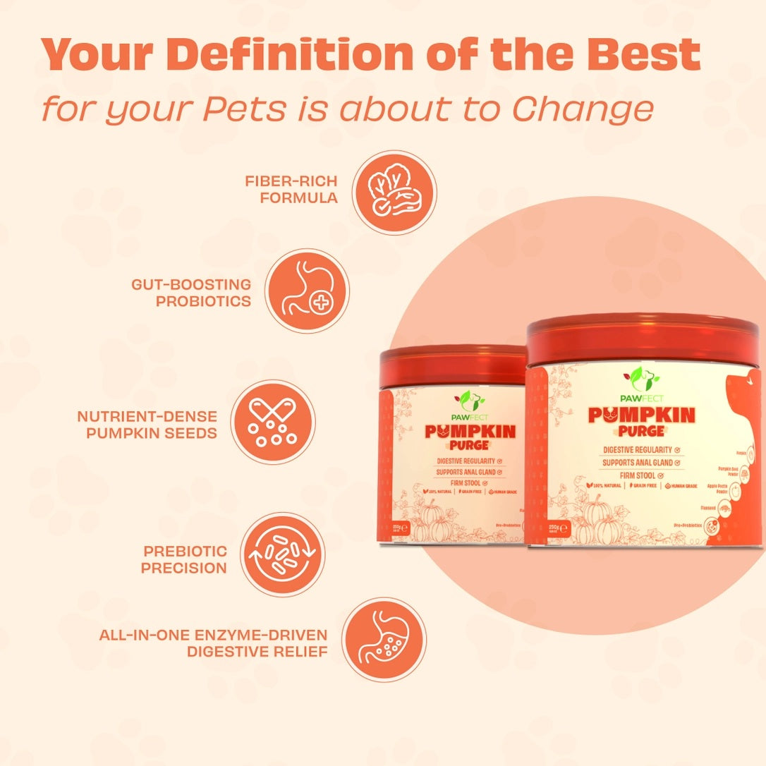 Pumpkin Purge Digestive Topper for Dogs | Natural Pre & Probiotic Support
