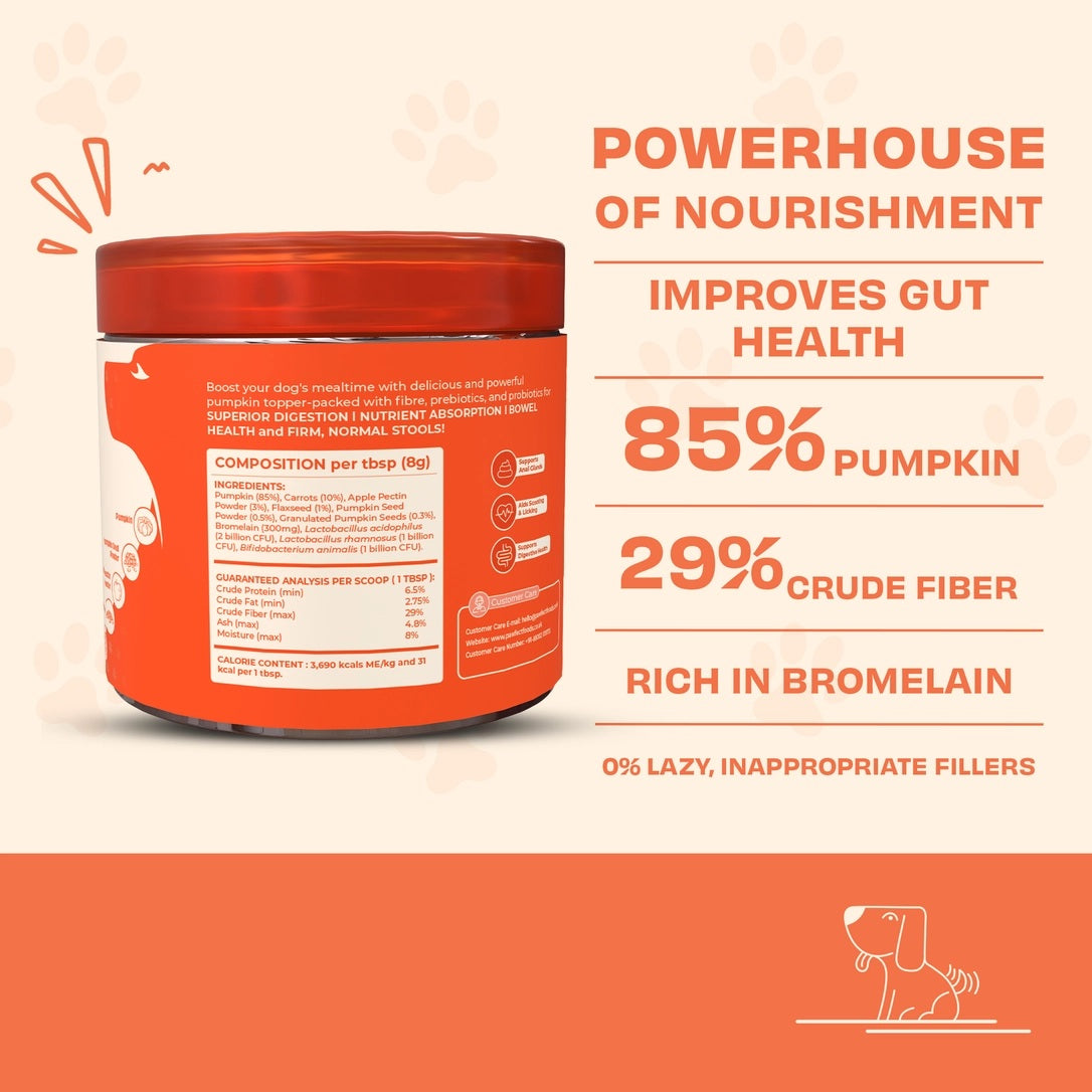 Pumpkin Purge Digestive Topper for Dogs | Natural Pre & Probiotic Support