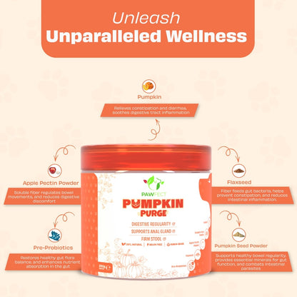 Pumpkin Purge Digestive Topper for Dogs | Natural Pre & Probiotic Support