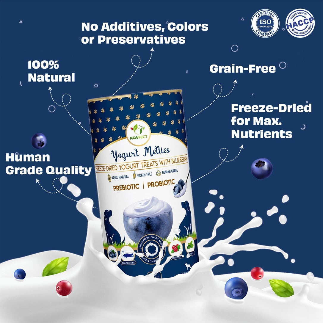 Pawfect Yogurt Melties - Pre and Probiotic Dog Treats with Blueberry, Cranberry, Blue Spirulina & Mint - 38g