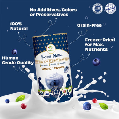 Pawfect Yogurt Melties - Pre and Probiotic Dog Treats with Blueberry, Cranberry, Blue Spirulina & Mint - 38g