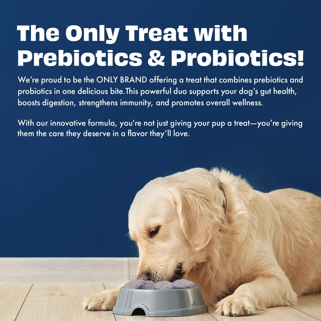 Pawfect Yogurt Melties - Pre and Probiotic Dog Treats with Blueberry, Cranberry, Blue Spirulina & Mint - 38g
