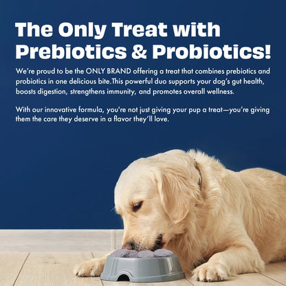 Pawfect Yogurt Melties - Pre and Probiotic Dog Treats with Blueberry, Cranberry, Blue Spirulina & Mint - 38g