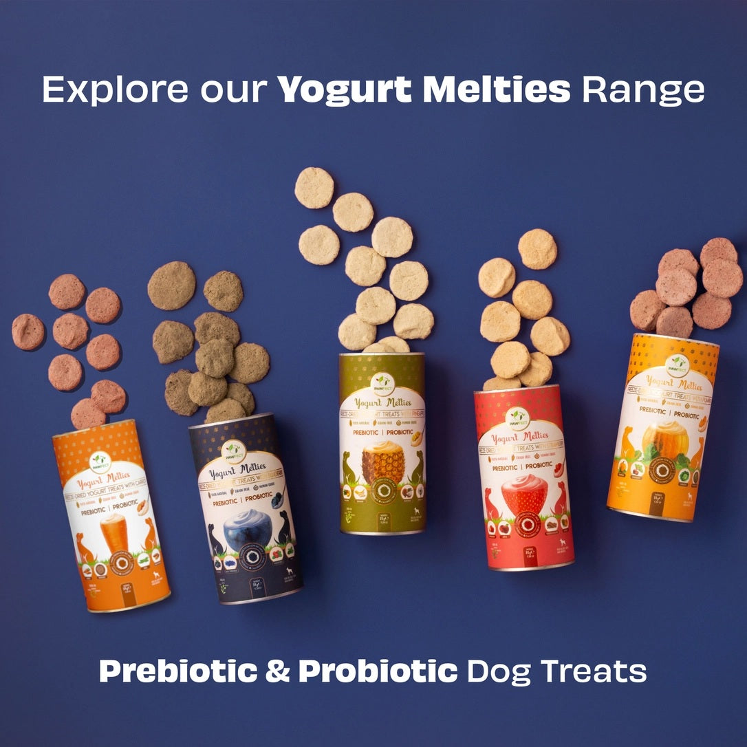 Pawfect Yogurt Melties - Pre and Probiotic Dog Treats with Blueberry, Cranberry, Blue Spirulina & Mint - 38g