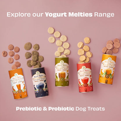 Pawfect Yogurt Melties Pre and Probiotic Dog Treats with Strawberry, Apple, Papaya & Burdock Root - 38g