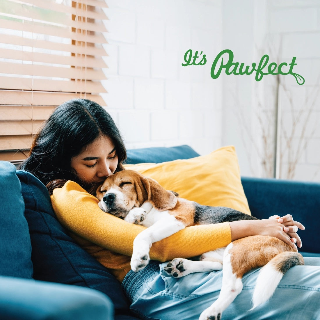 Pawfect Yogurt Melties Pre and Probiotic Dog Treats with Strawberry, Apple, Papaya & Burdock Root - 38g