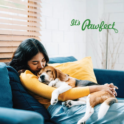 Pawfect Yogurt Melties Pre and Probiotic Dog Treats with Strawberry, Apple, Papaya & Burdock Root - 38g