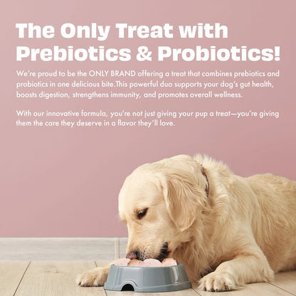 Pawfect Yogurt Melties Pre and Probiotic Dog Treats with Strawberry, Apple, Papaya & Burdock Root - 38g