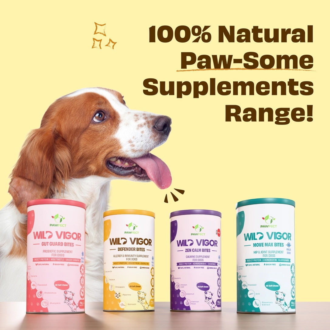 Joint and mobility support supplement for senior and active dogs