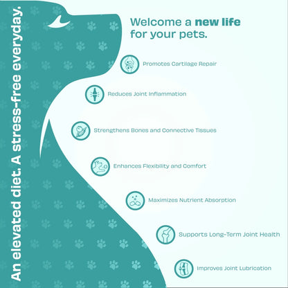 Science-backed vet-led joint and mobility supplement for dogs by Pawfect Health