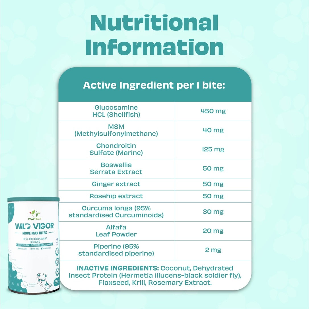 Glucosamine chondroitin and MSM ingredients supporting joint health in dogs