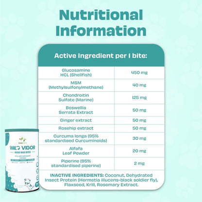 Glucosamine chondroitin and MSM ingredients supporting joint health in dogs