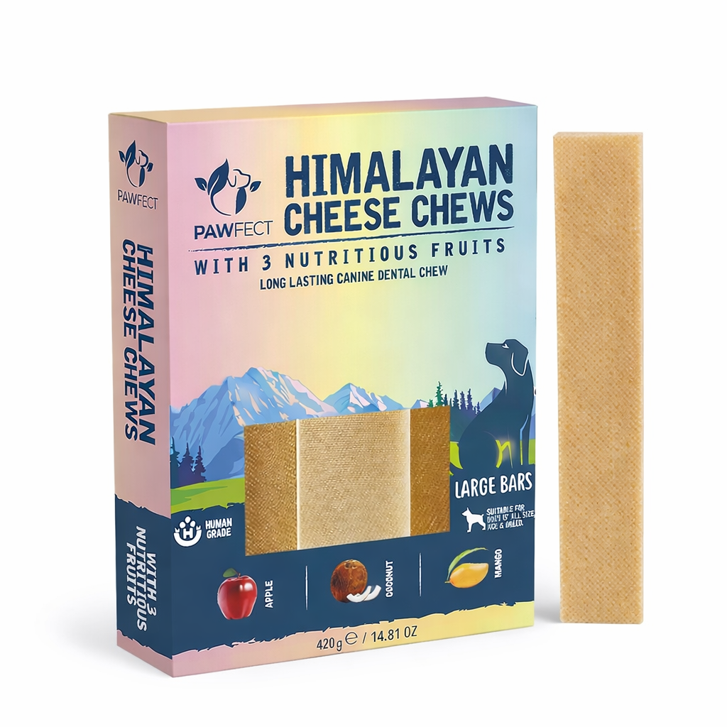 Pawfect Himalayan Cheese Chews with Apple, Mango & Coconut For Dogs - All Natural Dental Sticks