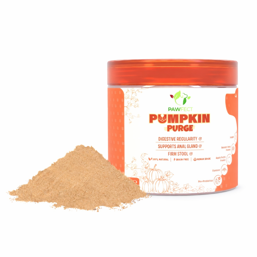 Pumpkin Purge Digestive Topper for Dogs | Natural Pre & Probiotic Support