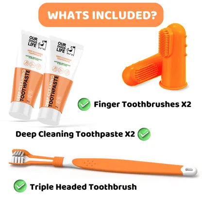Dog Toothpaste & Toothbrush Dental Care Set additional product information