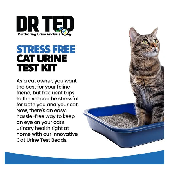 Dr Ted Cat Urine Test Kit Hematuria / Blood Detector – product image 3 – cat urine test kit