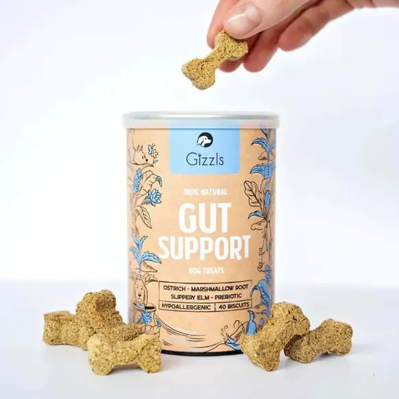 Gizzls Natural Gut Support Functional Dog Treats 180g natural dog digestive and gut health supplement