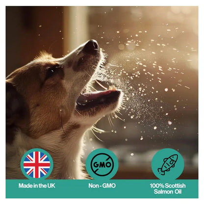 Infusions Cough Salmon Oil For Pets (300ml) – product image 6 – pet recovery supplement