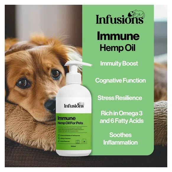 Infusions Immune Hemp Oil For Pets (300ml) – product image 3 – pet daily wellness supplement