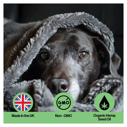 Infusions Immune Hemp Oil For Pets (300ml) – product image 6 – pet daily wellness supplement