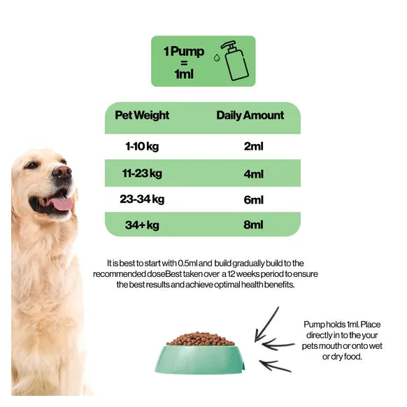 Infusions Immune Hemp Oil For Pets (300ml) – product image 7 – pet daily wellness supplement