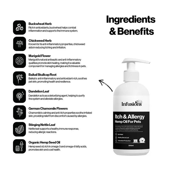 Infusions Itch & Allergy Hemp Oil For Pets (300ml) – product image 4 – pet skin & coat supplement