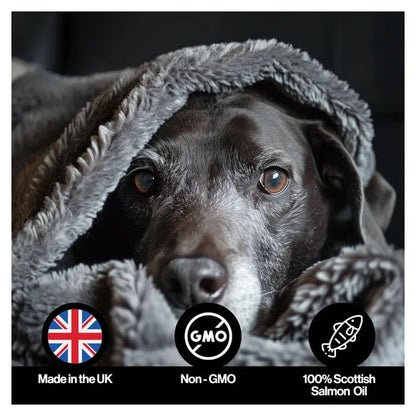 Infusions Itch & Allergy Salmon Oil For Pets (300ml) – product image 5 – pet skin & coat supplement