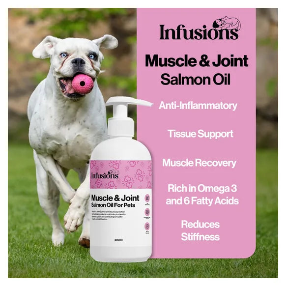 Infusions Muscle & Joint Salmon Oil For Pets (300ml) – product image 3 – pet joint & mobility supplement