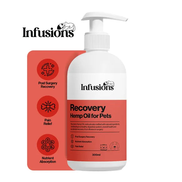 Infusions Recovery Hemp Oil For Pets (300ml) – product image 2 – pet recovery supplement