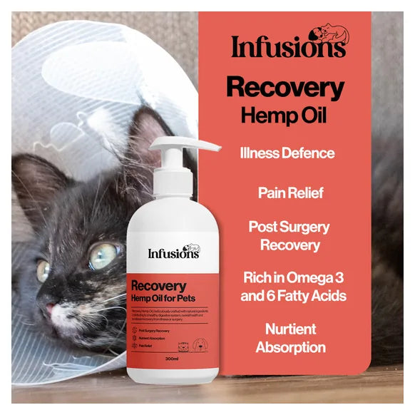 Infusions Recovery Hemp Oil For Pets (300ml) – product image 3 – pet recovery supplement