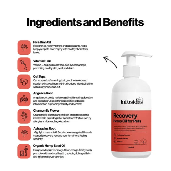 Infusions Recovery Hemp Oil For Pets (300ml) – product image 4 – pet recovery supplement
