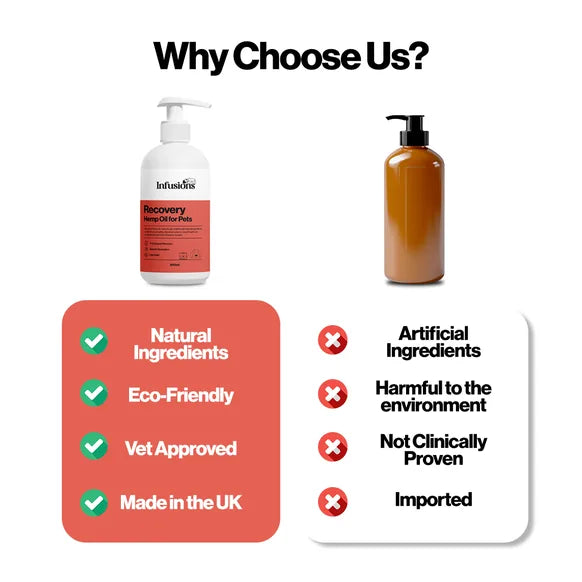 Infusions Recovery Hemp Oil For Pets (300ml) – product image 5 – pet recovery supplement