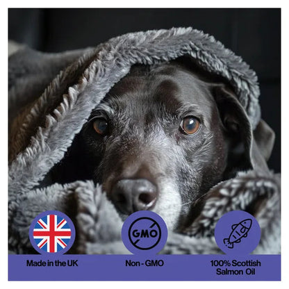 Infusions Seniors Salmon Oil For Pets (300ml) – product image 5 – senior & cognitive pet supplement