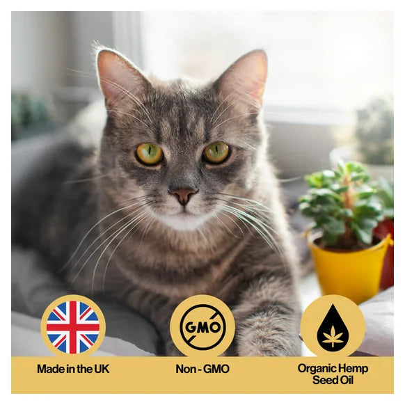 Infusions Skin & Coat Hemp Oil For Pets (300ml) – product image 5 – pet skin & coat supplement